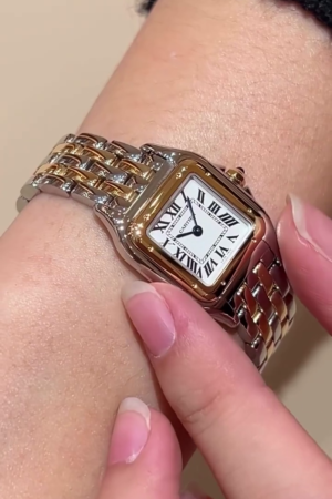 Small Model Watch in Steel and Yellow Gold